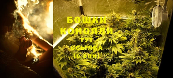 трава Сосновый Бор