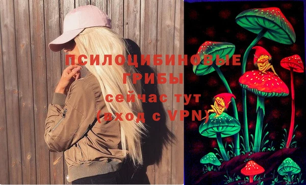 прущий лед Алексеевка